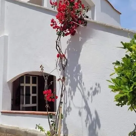 Pitty House Sardegna Апартаменты Синискола