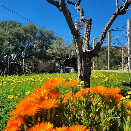 Pitty House Sardegna Διαμέρισμα Siniscola